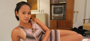 Asiatiche, Dilettanti, Coperta