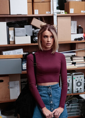 Bionde, Gonna, Ufficio, Coperta