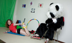 Panda with a hard phallus is going to screw a slutty kitten